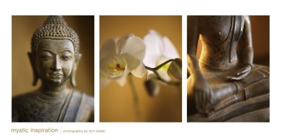 Mystic Inspiration Religion & Philosophy Art Poster Print by Tom Weber, 40x20