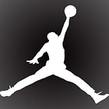 AIR JORDAN DECAL STICKER 5X5