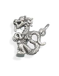 Small Dragon Charm