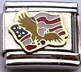 Clearly Charming Eagle Flying on American Flag Italian Charm