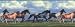 Horses Running Free Wallpaper Border