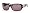 Tortoise with Brown Polarized lenses
