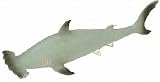 RepPals: Hammerhead Shark