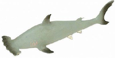 Childrens Toyshop  Toys : RepPals: Hammerhead Shark