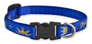 Lupine Small Dog Collar - Noble Beast 8-12