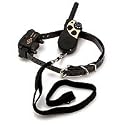 PetSafe Deluxe Little-Dog Remote Trainer for Pets Under 40 Pounds