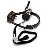 PETSAFE REMOTE TRAIN COLLR LITTLE DOG CO