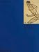 Books : Egon Schiele (Phaidon Colour Library)