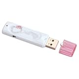 Hello Kitty 1GB Key Chain USB Flash Drive - White (KT4030B)