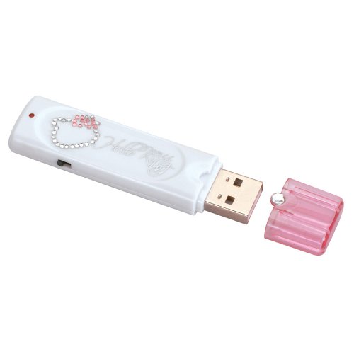 Childrens Toyshop  Electronics : Hello Kitty 1GB Key Chain USB Flash Drive - White (KT4030B)