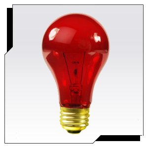 25A/TR A19 Transparent Red Light Bulb