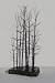 Bonsai Boy's Wire Bonsai Tree Sculpture - Forest Scene