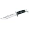 Survive the Impending Zombie Apocalypse