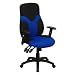 Flash Furniture High Back Ergonomic Black and Gray Mesh Task Chair with Adjustable Arms