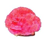 FLEXIBLE PINK CAPRICORNIS MEDIUM