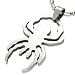 Reversible Spider Stainless Steel Pendant