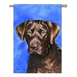 Labrador Retriever-Chocolate Banner