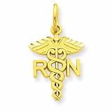 14k Nurse Charm