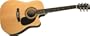 Rogue Dreadnought Cutaway Acoustic-Electric Guitar Natural