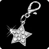 PURELY CHARMING Pet Charm/Pendant with Handset Swarovski Crystals - Super Star