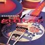Essential Blues Guitar - House of the Blues (2 Cd Set)