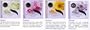 Aromatherapy Cd Incense Fragrance Essence Stick Season