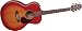 Takamine G Series EG430S-VV NEX Acoustic Electric Guitar, Vintage Violin