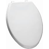 Elongated Solid Plastic Toilet Seat with Top-Tite Hinges Finish: Silver