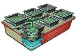 Hydroponics: Emilys Garden System