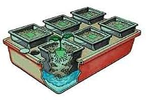 Hydroponics: Emilys Garden System