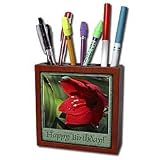 Best Price Beverly Turner Photography - Amarillo Flower, Happy Birthday - Tile Pen Holders-5 inch tile pen holder