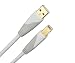 Monster Cable AI USB HP-12 12 foot USB iCable for Apple