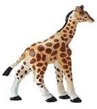 Giraffe Baby