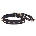 Spiked Collar