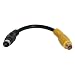 StarTech.com 6 inch S-Video to Composite Video Adapter