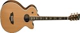 Washburn Baby Jumbo Series WB400SWCEK Acoustic-Electric Guitar