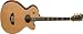 Washburn Baby Jumbo Series WB400SWCEK Acoustic-Electric Guitar