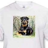 Rottweiler - Toddler T-Shirt (3T)