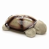 Twilight Turtle - Constellation Night Light