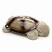 Twilight Turtle - Constellation Night Light