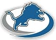 Detroit Lions 12"x12" Die-Cut Window Film - Football Sports Merchandise