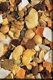 Parrot Topi-Mix - TROPI MIX SMALL PARROT 20 LB.