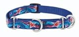 Lupine Medium Martingale Style Dog Collar - Dolphin Bay (14-20 inches)