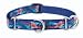 Lupine Medium Martingale Style Dog Collar - Dolphin Bay (14-20 inches)