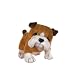   - Webkinz Lil' Kinz Bulldog BROWN MULTI