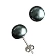 Enhanced Black 5.5-6mm AAAA Cultured Pearl Platinum Overlay Sterling Silver Stud Earrings (LS1B) Enhanced Black 5.5-6mm AAAA Cultured Pearl Platinum Overlay Sterling Silver Stud Earrings (LS1B)