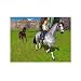 Barbie Horse AdventuresTM: Riding Camp