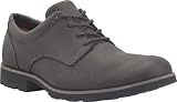 Timberland Men's Toya Lake Plain Toe Oxford Eco Friendly Shoes