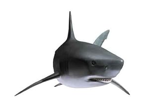 Requin - 18"W x 14"H - Peel and Stick Wall Decal by Wallmonkeys