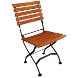 Courtyard Folding Chair Teak seating, iron powder coated frame, pack 2